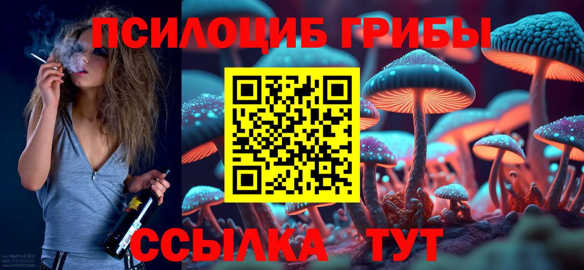 Киреевск  Галлюциногенные грибы MAGIC MUSHROOMS  Вход с VPN 