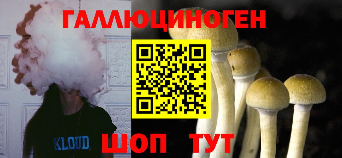 Псилоцибиновые грибы Psilocybine cubensis Киреевск